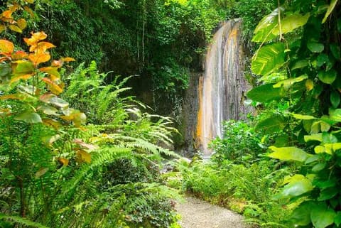Rainforest waterfall in St. Lucia